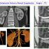 Diapositiva 08
